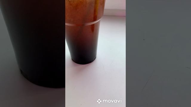 Черенкование туй в «Гидрогеле для рассады»