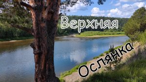 село Верхняя Ослянка (лето). Вид с дрона.