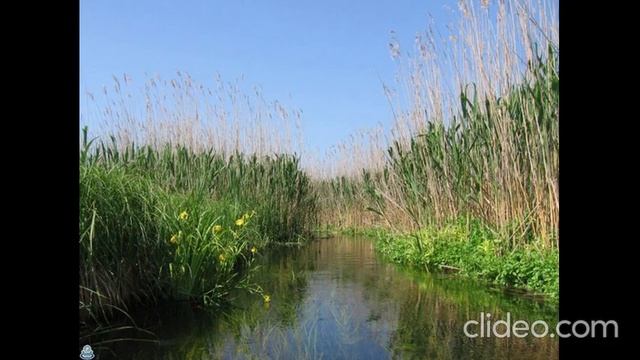 Музыкальный район Краснодара. Что здесь было раньше?