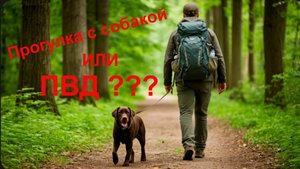 Прогулка с собакой до памятника военным кинологам.