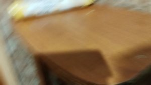 мой шотландский кот Барсик боится зонта