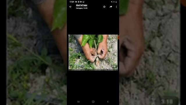 Амир Темур 2- урта мактаб 3- синф ватаншунослик смотреть онлайн