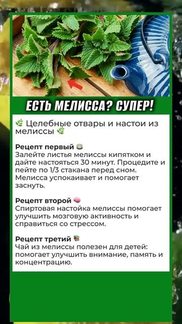 🌿 Эта ВОЛШЕБНАЯ Трава Есть  в Любом Огороде! смотреть онлайн