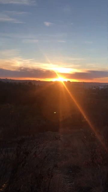 #БОЯРЫШНИК #Кишинёв #лесопарк смотреть онлайн