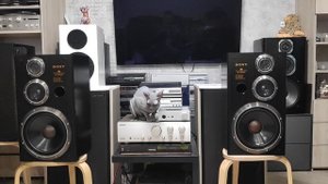 SONY SS V925