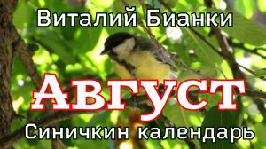 Август "Синичкин календарь" Виталий Бианки. Рассказ  с картинками