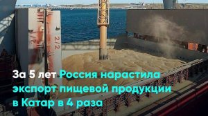 За 5 лет Россия нарастила экспорт пищевой продукции в Катар в 4 раза
