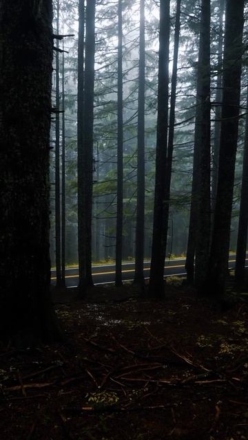 #mclaren720s #mclaren570s Стиль 🔥 Лайк/подписка!