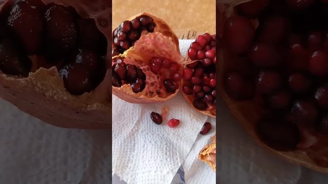 гранат -плоди цілий рік смотреть онлайн