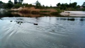 Nitro carp "Малой".mp4