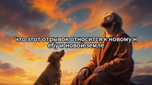 Что происходит с питомцами после смерти? Есть ли у жив?