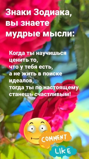 Знаки Зодиака.  Когда ты научишься ценить то, что у теб? смотреть онлайн