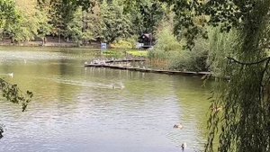 Осенний Зеленоградск. Прогулка в парке и по берегу моря