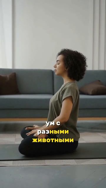 Там, где есть мир и медитация, нет ни тревог, ни сомнени смотреть онлайн