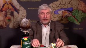 Мышление после смерти