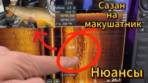 ШИКАРНАЯ рыбалка в Астрахани. Ловля сазана на макушатник.Рассказ о моих обновках в лодке Гиргис 440