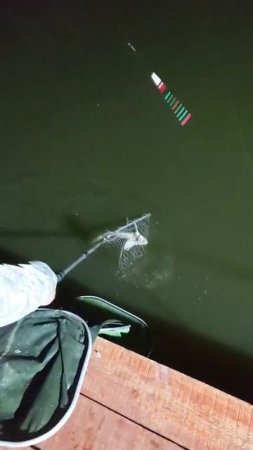 1000077707.mp4