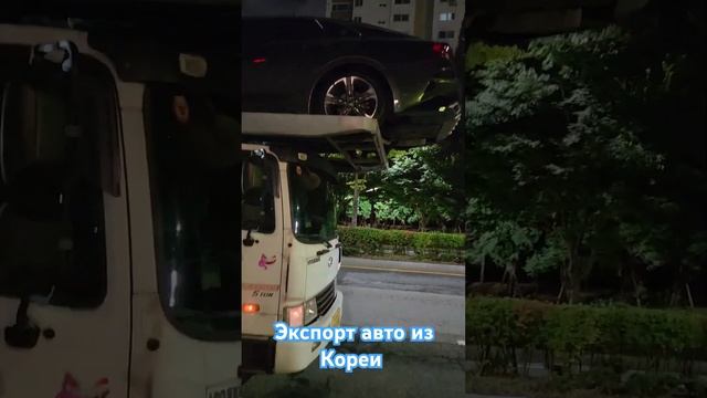 Экспорт авто из Кореи, Auto-Trade Co.Ltd, Роман Югай, +821055568394 Tele смотреть онлайн