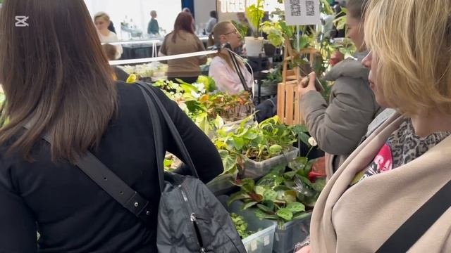 Монстериум | выставка экзотических растений | цветочн?