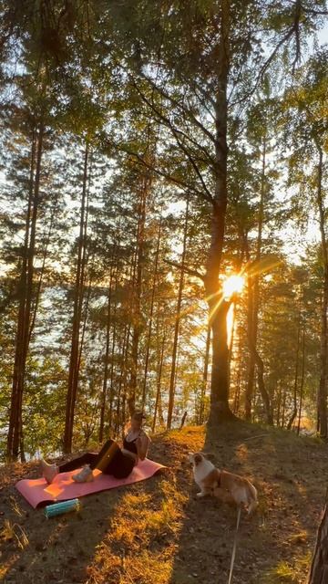 Бузинная палочка найдена 😂 #корги #собака #коргипембр смотреть онлайн