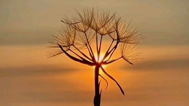 Чтобы вступить с Господом в небесный чертог Царства (П смотреть онлайн