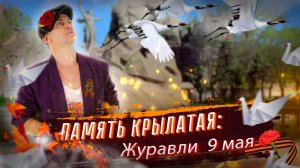 Память крылатая: Журавли 9 мая