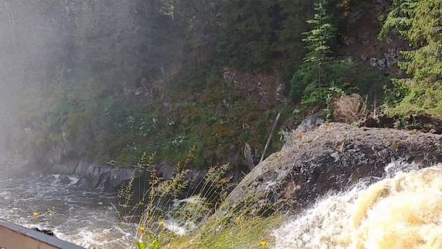 13.07.2024. Кивач. смотреть онлайн