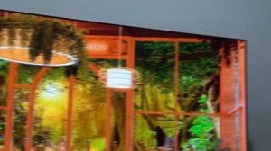Телевизор LG 55QNED86T6A СТОИТ ЛИ БРАТЬ