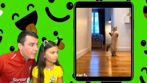 КОТЫ ПАДУНЫ! ЛУЧШИЙ НЕ ЗАСМЕЙСЯ ЧЕЛЛЕНДЖ с КОТАМИ! Попробуй не засмеяться Валеришка ТЕСТ на психику