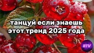 Танцуй если знаешь этот тренд 2025 года