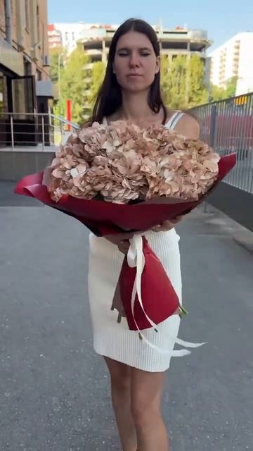 11 гортензий капучино #цветымосква #гортензия смотреть онлайн