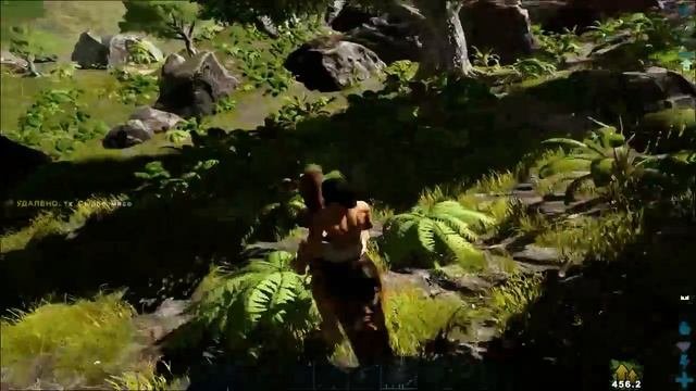 Стадо Аллозавров The Island / ARK Survival Evolved