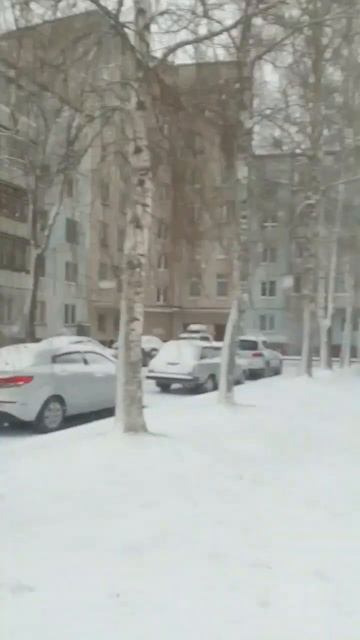 на дворе 19 апреля 2024, а у нас в Ленинградской области с? смотреть онлайн