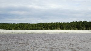 Пустыня и чайки в Берёзовском (Свердловская область)