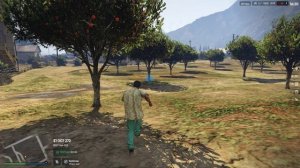 ГТА5 NSKGTARP Ферма, собираем апельсины.