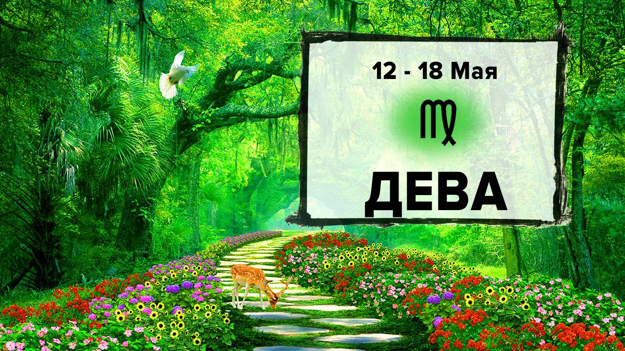 ДЕВА ♍ 12 - 18 Мая 2025 | Расклад таро на неделю для знака Зодиака Дева