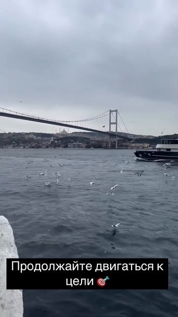 Мечты сбываются 💭 Продолжайте двигаться к цели 🎯 #це смотреть онлайн