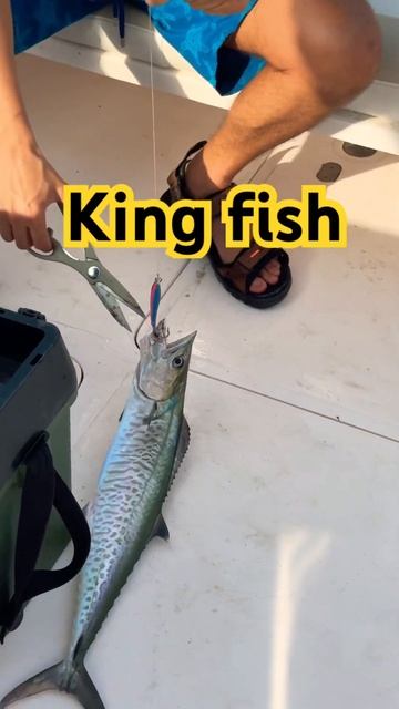 Tiger 🐅. Повезло - редкая промысловая рыба тигровой окр? смотреть онлайн