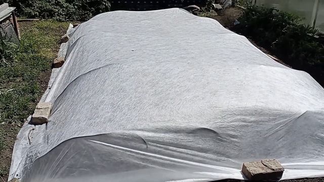 Открытый грунт 3 июня смотреть онлайн