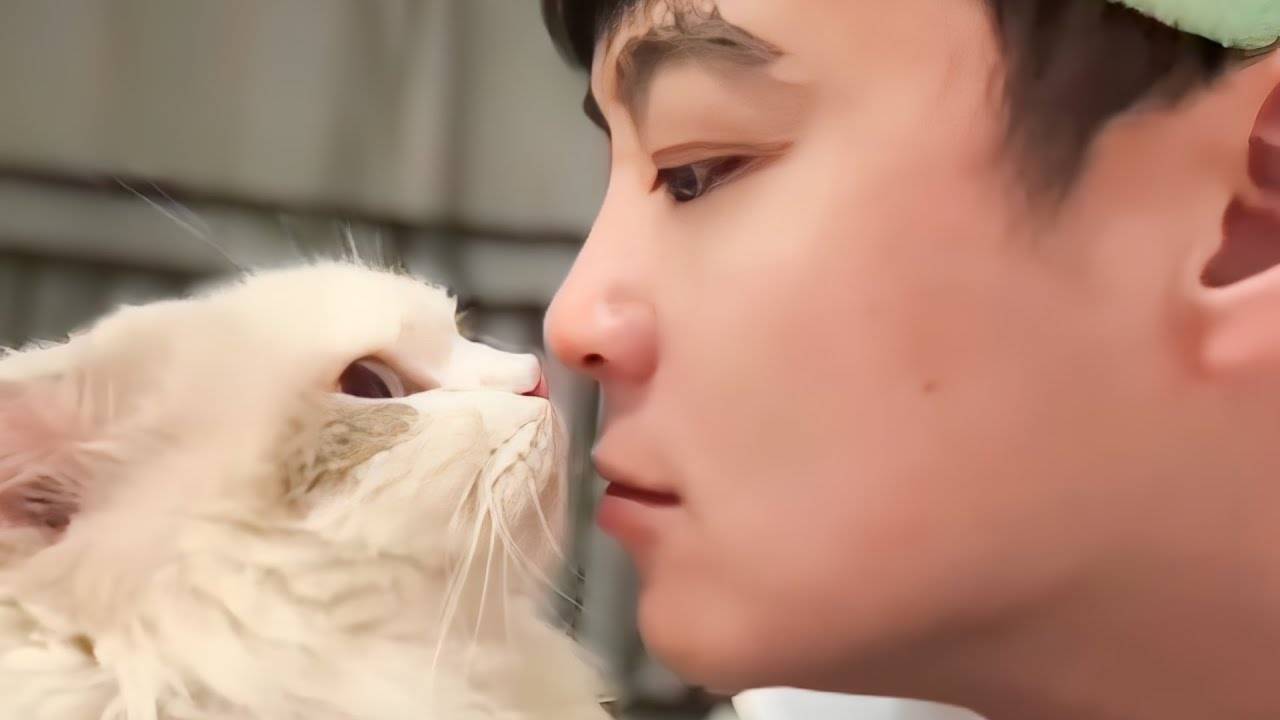 UNUSUAL MEMES COMPILATION V313 смотреть онлайн