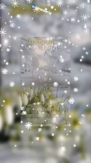 #Доброеутро #настроение #открытки смотреть онлайн