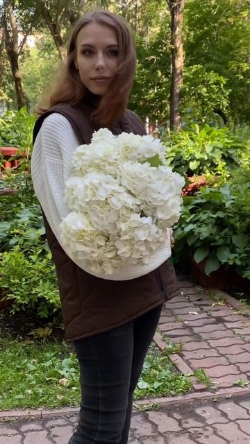 Гортензия белая#цветымосква смотреть онлайн