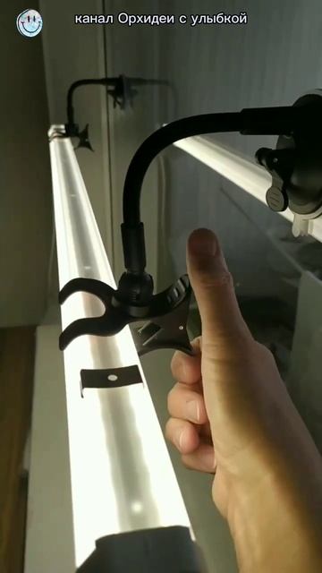 Нужны ли лампы для подсветки орхидей? #орхидеи #орхиде? смотреть онлайн