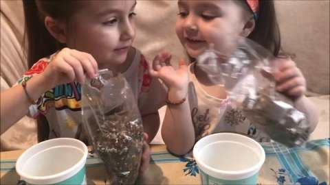 Развивашки для детей