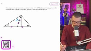 Острые углы прямоугольного треугольника равны 24° и 66°