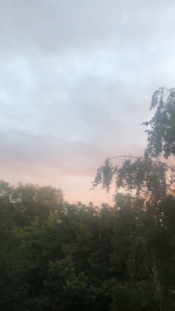 Берёза под моим окном. смотреть онлайн