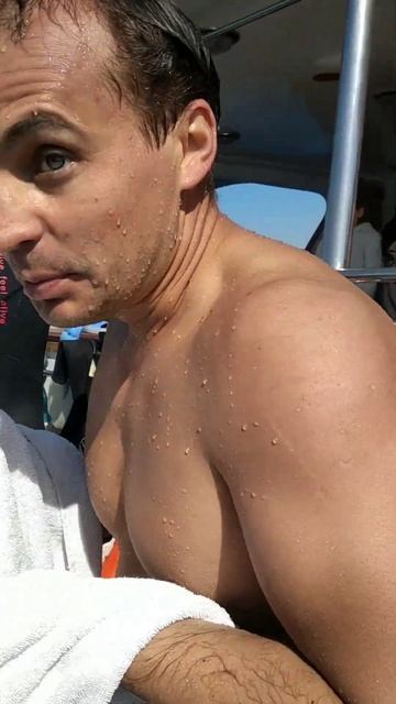 Египет плавал с дельфинами реакция! смотреть онлайн