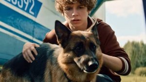 Смотреть Фильмы Онлайн В Хорошем Пальма