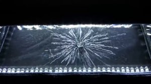 Распад урана 238 в камере Вильсона