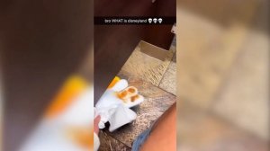 Приколы,юмор3